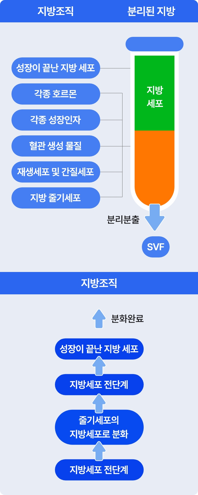 sst확대수술 과정