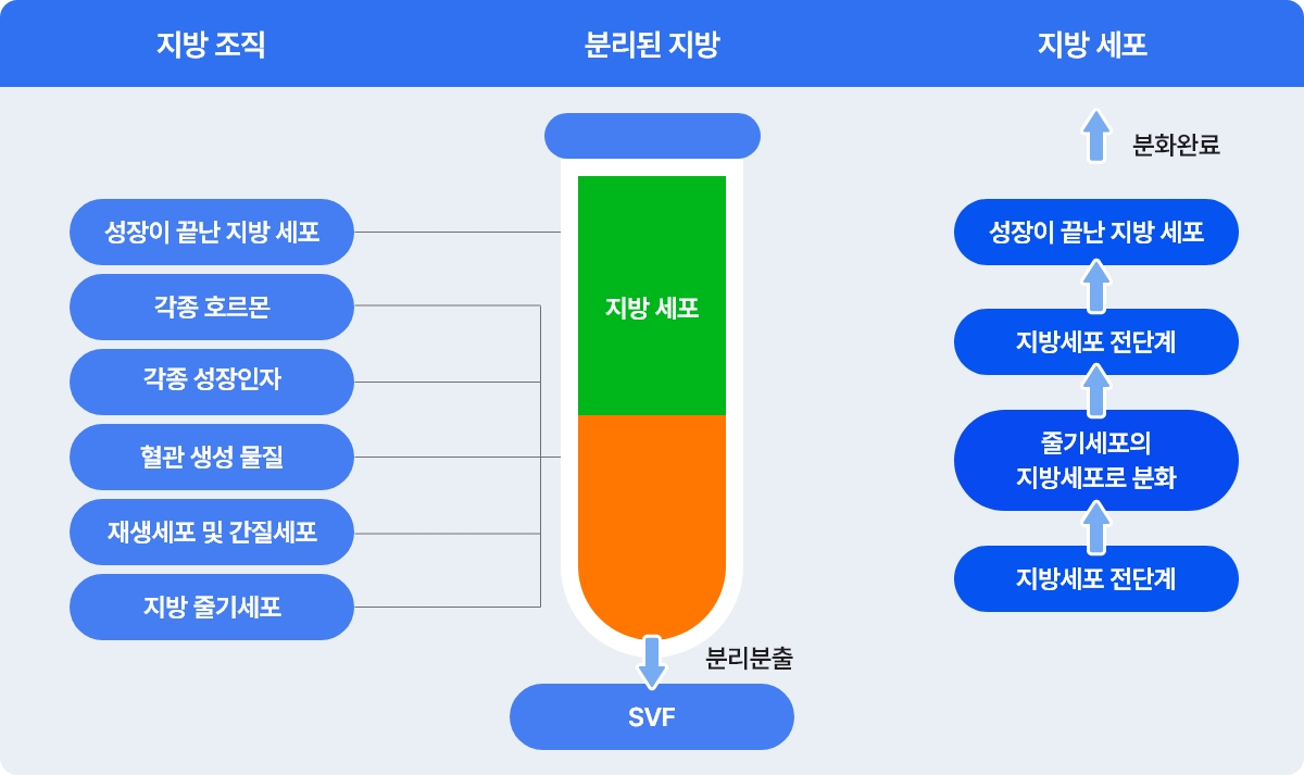 sst확대수술 과정